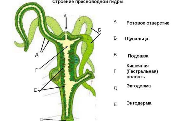 Кракен сайт официальный kraken clear com