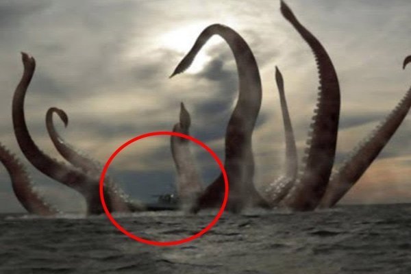 Kraken tor link