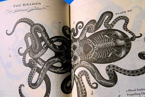 Кракен тгк
