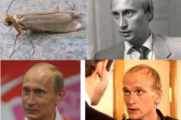 Как зайти на кракен дарк