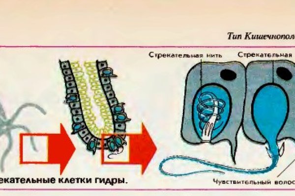 Пользователь не найден при входе на кракен