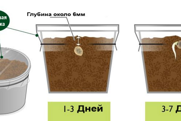 Ссылки на сайты даркнета