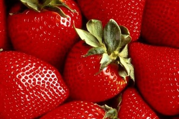 Где найти ссылку на кракен