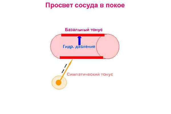 Кракен не работает тор