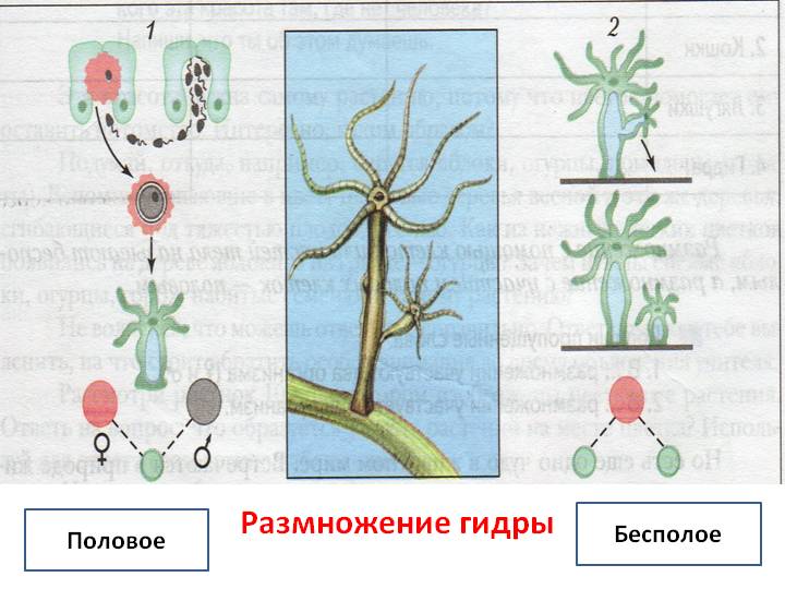 Что будет если зайти в кракен